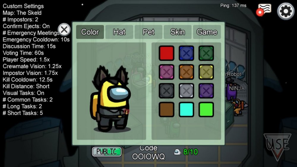 AmongUs Customization